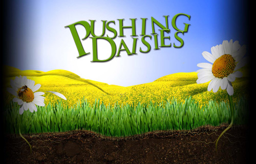 Pushing Daisies 1