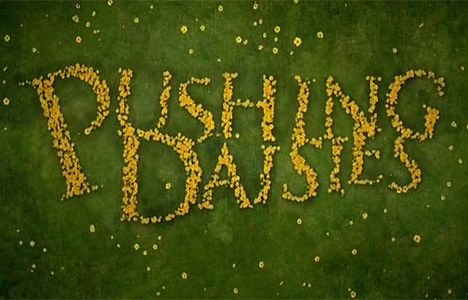 Pushing Daisies 3